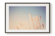 Load image into Gallery viewer, WILD CALIFORNIA PAMPAS GRASS