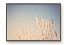 Load image into Gallery viewer, WILD CALIFORNIA PAMPAS GRASS