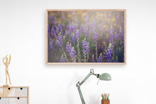 Load image into Gallery viewer, WILD LAVENDER IN ARIZONA