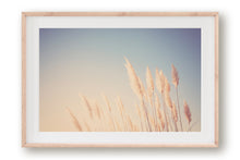 Load image into Gallery viewer, WILD CALIFORNIA PAMPAS GRASS