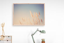 Load image into Gallery viewer, WILD CALIFORNIA PAMPAS GRASS