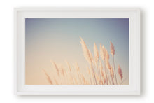 Load image into Gallery viewer, WILD CALIFORNIA PAMPAS GRASS