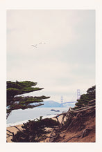 Load image into Gallery viewer, GOLDEN GATE BRIDGE AND BAKER BEACH AND BIRDS