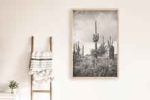 Load image into Gallery viewer, SUPERSTITION WILDERNESS IN BLACK & WHITE