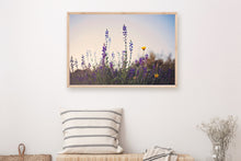 Load image into Gallery viewer, WILD LAVENDER AT TWILIGHT
