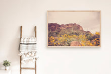 Load image into Gallery viewer, ARIZONA MOUNTAINS & WILD FLOWERS