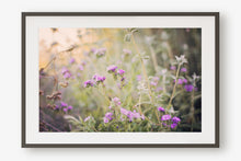 Load image into Gallery viewer, CALIFORNIA WILD FLOWERS