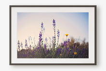 Load image into Gallery viewer, WILD LAVENDER AT TWILIGHT