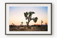 Load image into Gallery viewer, JOSHUA TREE AT TWILIGHT