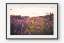 Load image into Gallery viewer, CALIFORNIA SUPER BLOOM