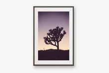 Load image into Gallery viewer, A JOSHUA TREE AT TWILIGHT 2