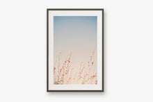 Load image into Gallery viewer, WILD POPPIES IN ARIZONA