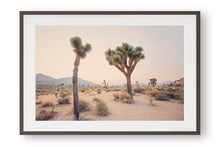 Load image into Gallery viewer, TWO TREES IN JOSHUA TREE