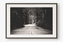 Load image into Gallery viewer, A ROAD IN BIG BASIN REDWOODS STATE PARK IN BLACK & WHITE
