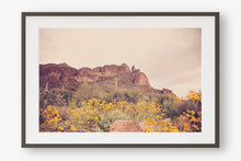 Load image into Gallery viewer, ARIZONA MOUNTAINS & WILD FLOWERS