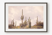 Load image into Gallery viewer, SAGUARO IN THE SUPERSTITION WILDERNESS