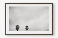 Load image into Gallery viewer, CALIFORNIA PALM TREES 2