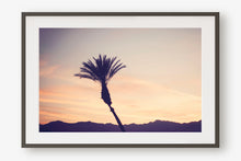 Load image into Gallery viewer, A PALM TREE IN PALM DESERT