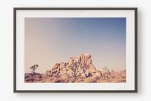 Load image into Gallery viewer, JOSHUA TREE IN SEPTEMBER 2