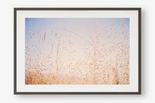 Load image into Gallery viewer, CALIFORNIA GOLDEN GRASS