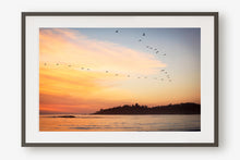 Load image into Gallery viewer, BIRDS FLYING OVER CARMEL BEACH