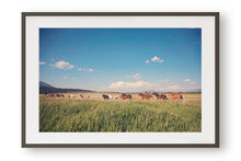 Load image into Gallery viewer, WILD HORSES IN WYOMING