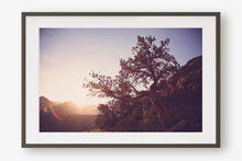 Load image into Gallery viewer, A TREE AT SUNRISE IN SEDONA ARIZONA
