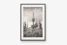 Load image into Gallery viewer, SUPERSTITION WILDERNESS IN BLACK & WHITE