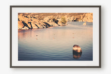 Load image into Gallery viewer, DUCKS ON WATSON LAKE