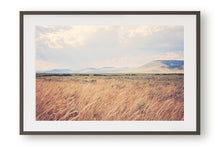 Load image into Gallery viewer, MONTANA AFTER THE RAIN