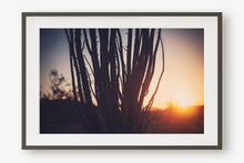 Load image into Gallery viewer, SUNRISE IN JOSHUA TREE