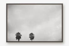 Load image into Gallery viewer, CALIFORNIA PALM TREES 2