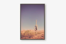Load image into Gallery viewer, SAGUARO IN THE ARIZONA DESERT