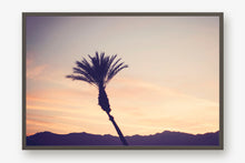 Load image into Gallery viewer, A PALM TREE IN PALM DESERT