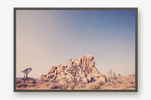 Load image into Gallery viewer, JOSHUA TREE IN SEPTEMBER 2