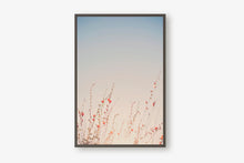 Load image into Gallery viewer, WILD POPPIES IN ARIZONA