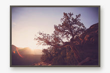 Load image into Gallery viewer, A TREE AT SUNRISE IN SEDONA ARIZONA