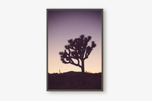 Load image into Gallery viewer, A JOSHUA TREE AT TWILIGHT 2