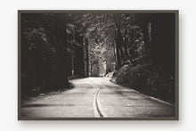 Load image into Gallery viewer, A ROAD IN BIG BASIN REDWOODS STATE PARK IN BLACK & WHITE