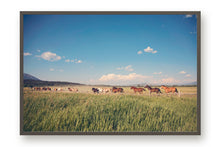 Load image into Gallery viewer, WILD HORSES IN WYOMING