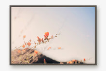 Load image into Gallery viewer, POPPIES IN THE SAN TAN MOUNTAINS 2