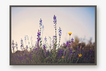 Load image into Gallery viewer, WILD LAVENDER AT TWILIGHT