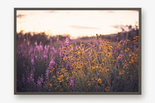Load image into Gallery viewer, CALIFORNIA SUPER BLOOM