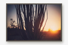 Load image into Gallery viewer, SUNRISE IN JOSHUA TREE