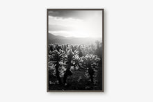Load image into Gallery viewer, CACTUSGARDEN IN BLACK & WHITE