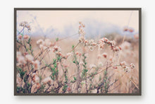 Load image into Gallery viewer, CALIFORNIA WILD FLOWERS IN WILDWOOD CANYON
