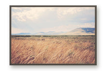 Load image into Gallery viewer, MONTANA AFTER THE RAIN