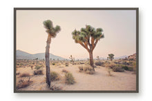 Load image into Gallery viewer, TWO TREES IN JOSHUA TREE