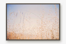Load image into Gallery viewer, CALIFORNIA GOLDEN GRASS