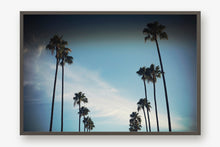 Load image into Gallery viewer, CALIFORNIA PALM TREES